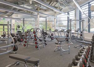 Photo 19- click for photo gallery